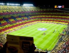 IM体育社区互动入口-福克斯点燃赛场，公牛力克深圳队上演跨洋篮球盛宴