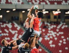 IM体育App下载-从罪人到英雄，托尼的救赎之路与厄瓜多尔足球的非洲突破