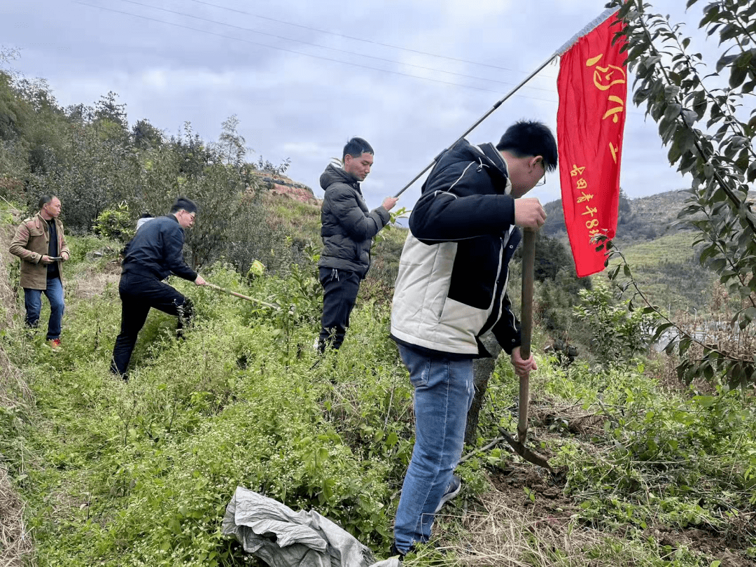 IM体育官网-摩尔多瓦队火力全开，不惧强敌取胜的简单介绍