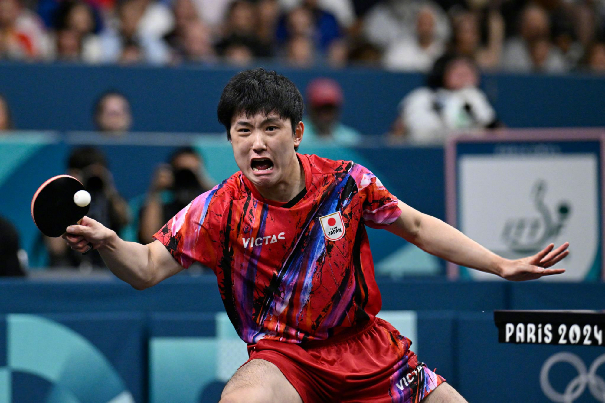 IM体育app-韩国队绝杀葡萄牙队，张本智和统治全场的简单介绍