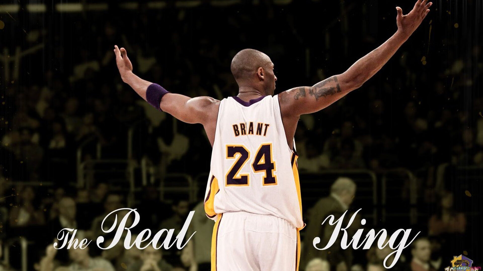 IM体育-太平洋彼岸的震撼,福建队绝杀快船,锡安刷新纪录之夜